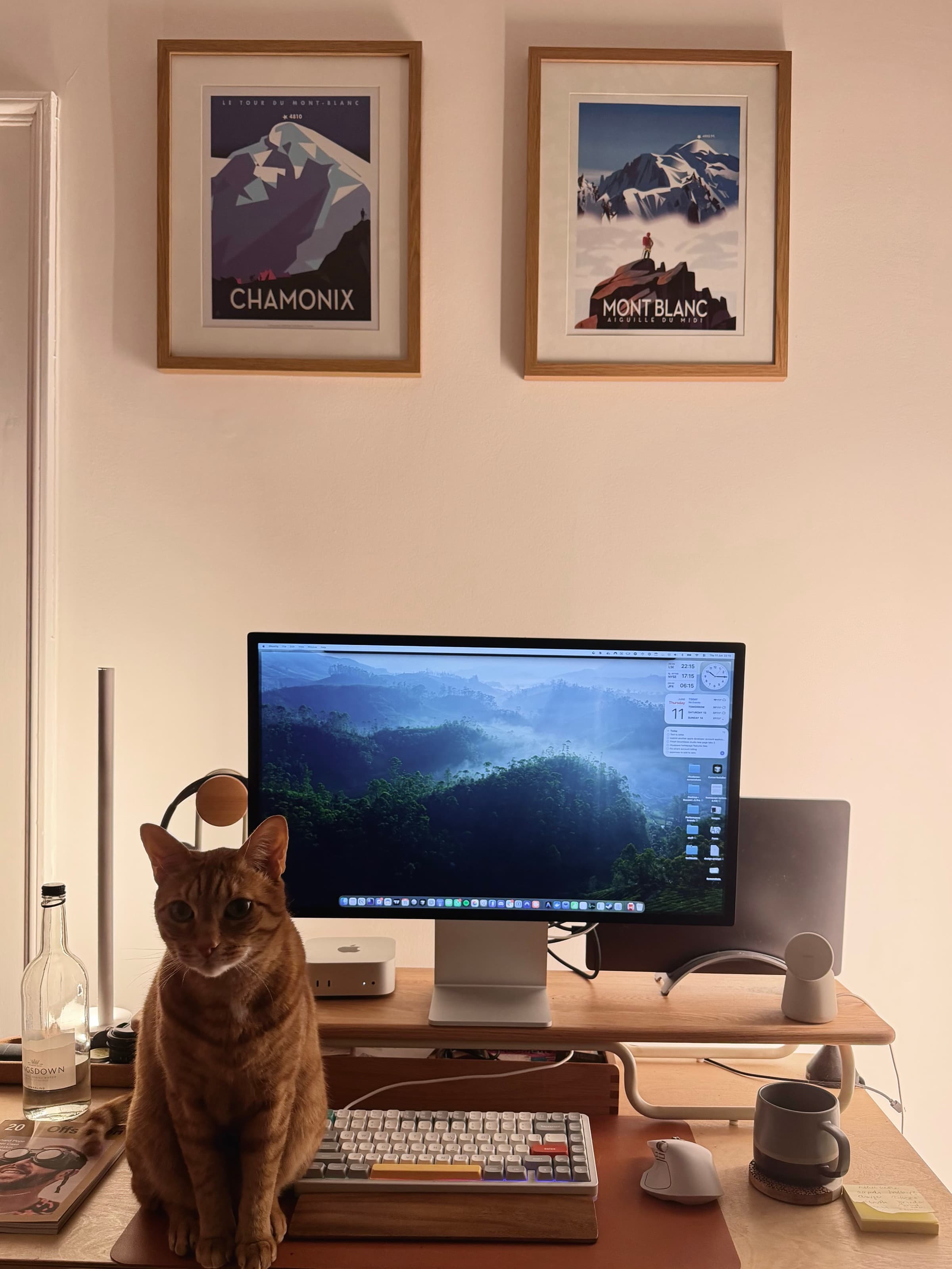 The Bloombase studio by day: a wooden desk with a monitor, two framed Chamonix and Mont Blanc posters, and an orange tabby cat sitting on the desk.